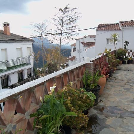 Apartamentos Rurales Jardines Del Visir Genalguacil Εξωτερικό φωτογραφία