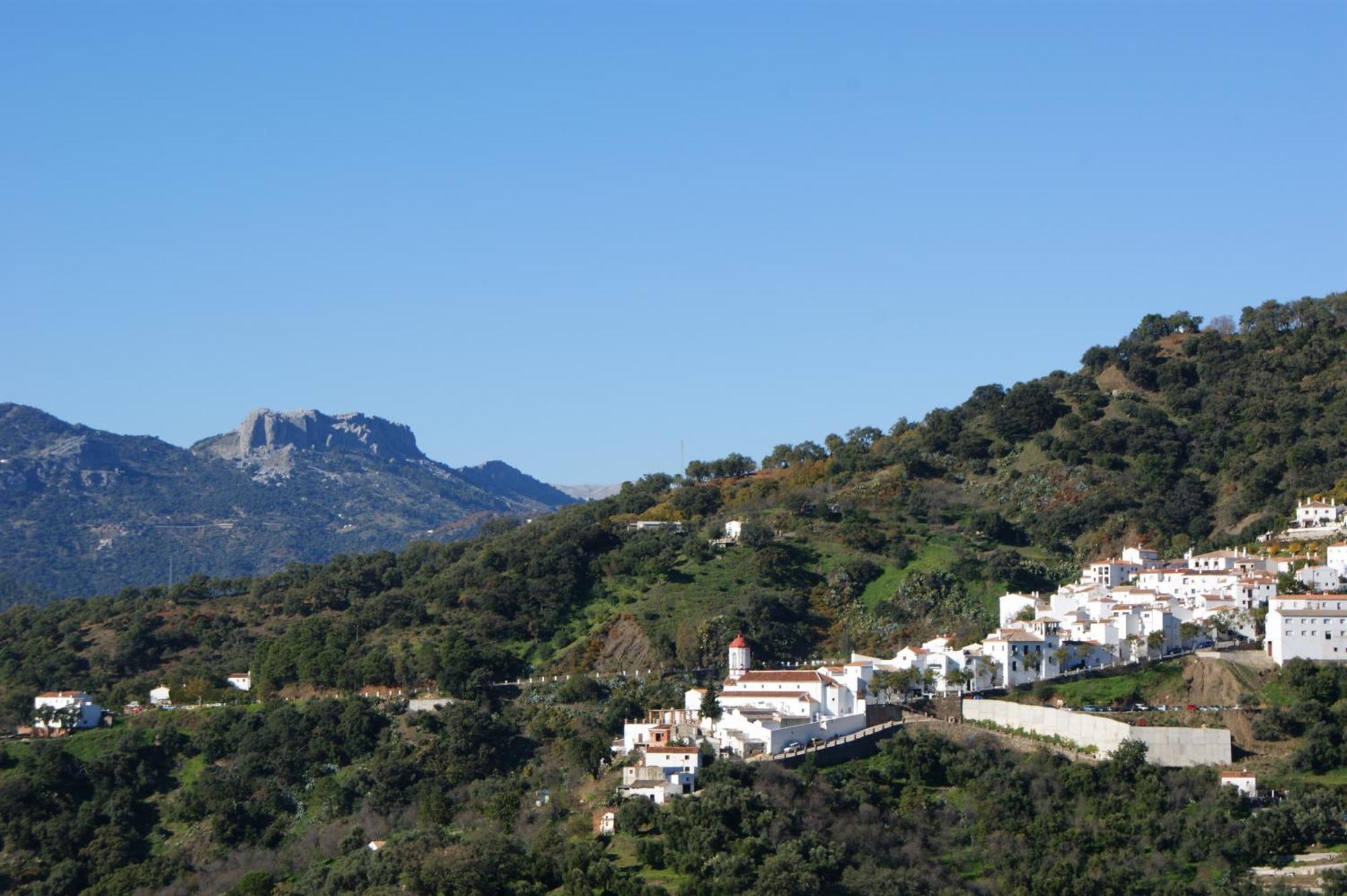 Apartamentos Rurales Jardines Del Visir Genalguacil Εξωτερικό φωτογραφία