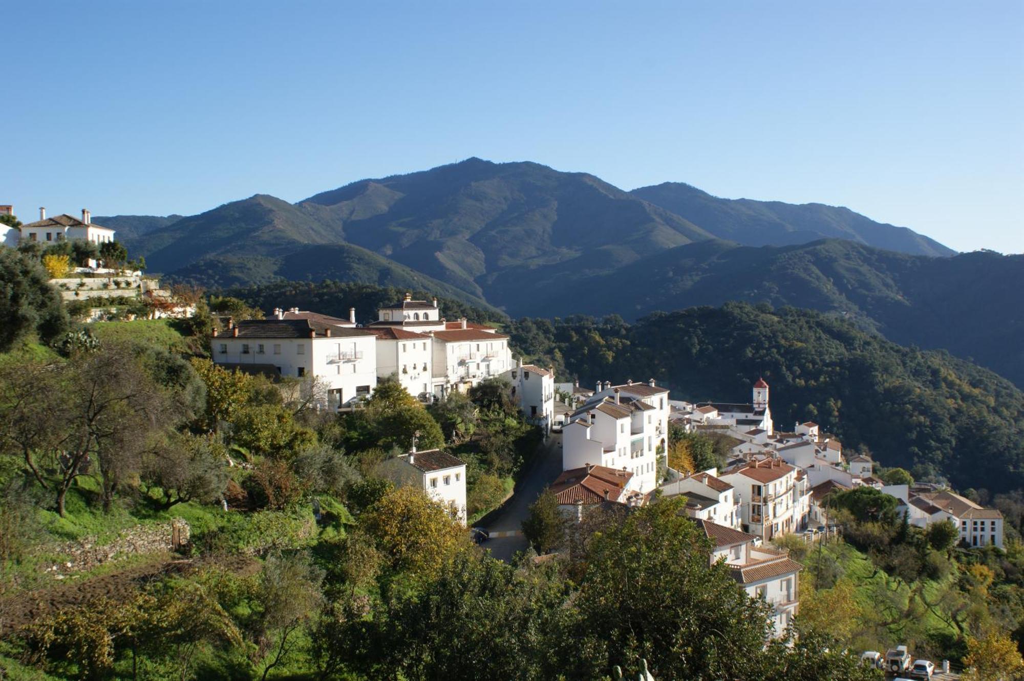 Apartamentos Rurales Jardines Del Visir Genalguacil Εξωτερικό φωτογραφία