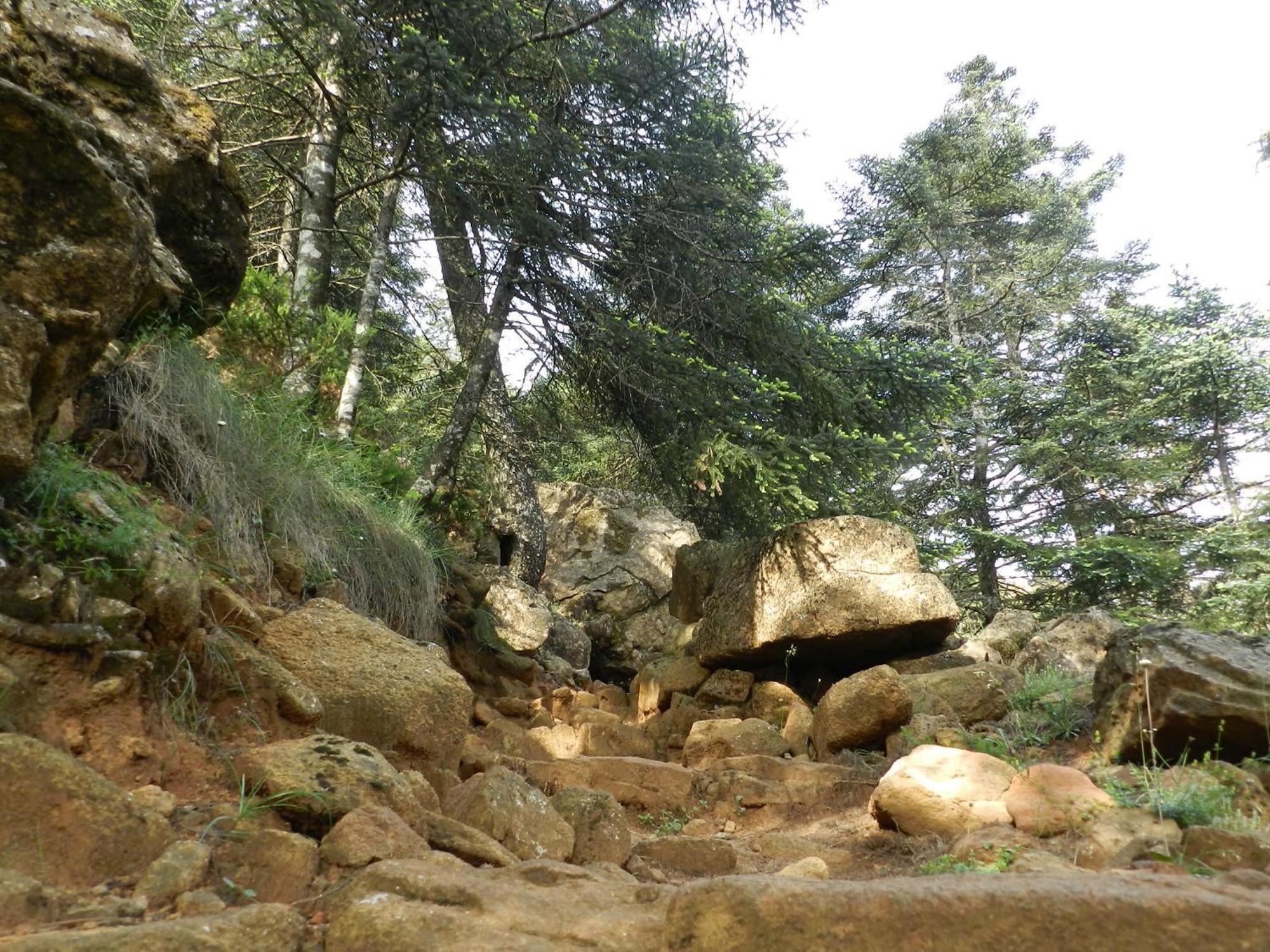 Apartamentos Rurales Jardines Del Visir Genalguacil Εξωτερικό φωτογραφία
