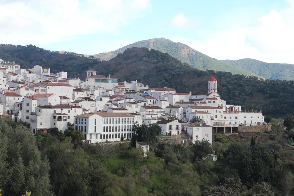 Apartamentos Rurales Jardines Del Visir Genalguacil Εξωτερικό φωτογραφία