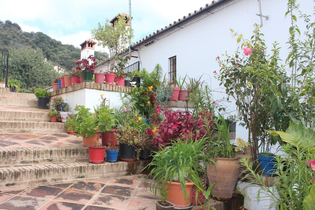 Apartamentos Rurales Jardines Del Visir Genalguacil Εξωτερικό φωτογραφία