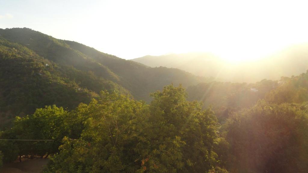 Apartamentos Rurales Jardines Del Visir Genalguacil Εξωτερικό φωτογραφία