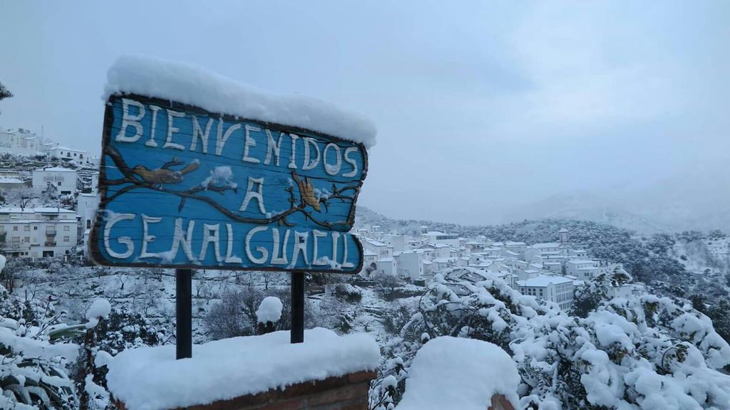 Apartamentos Rurales Jardines Del Visir Genalguacil Εξωτερικό φωτογραφία