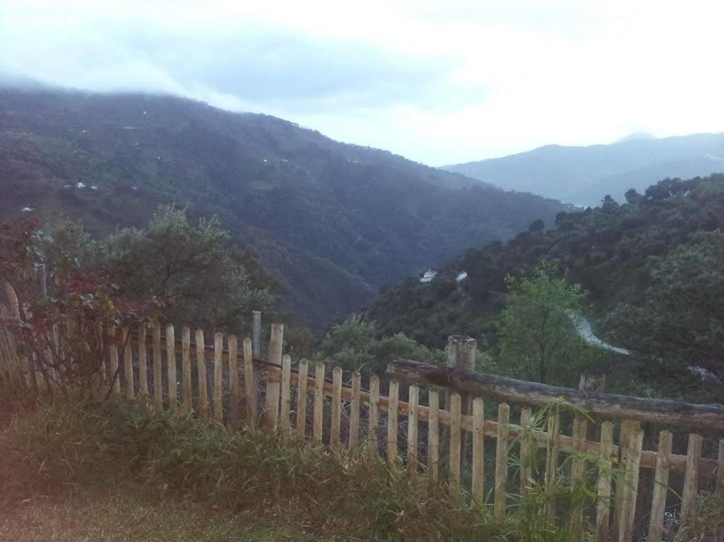 Apartamentos Rurales Jardines Del Visir Genalguacil Εξωτερικό φωτογραφία